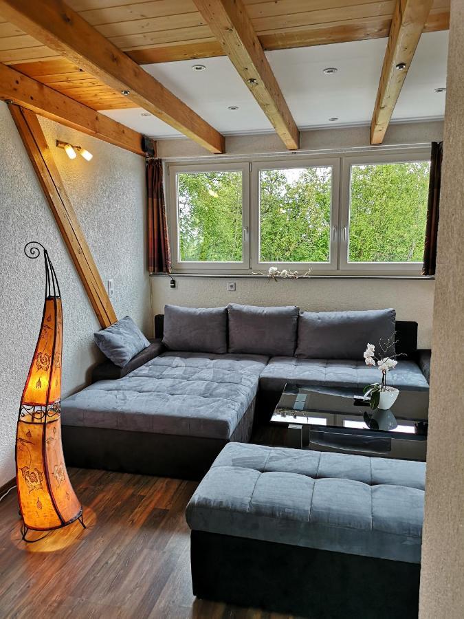 Ferienhaus Wernfels - Fraenk. Seenland 施帕尔特 外观 照片